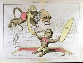 Karikatyr av Charles Darwin (1809-1882) och Émile Littré (1801-1881), som framställer dem som dresserade apor på en cirkus